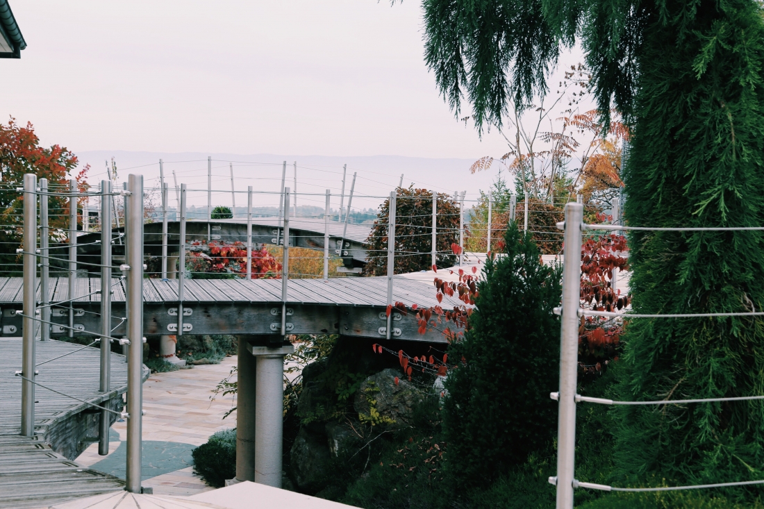 Processed with VSCOcam with c1 preset