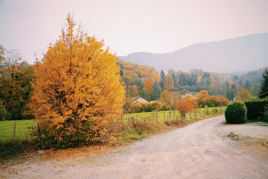 Processed with VSCOcam with c1 preset